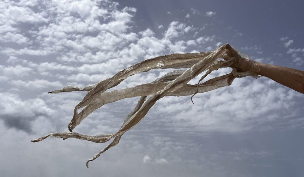 Edith Dekyndt - Animal Methods, 2024