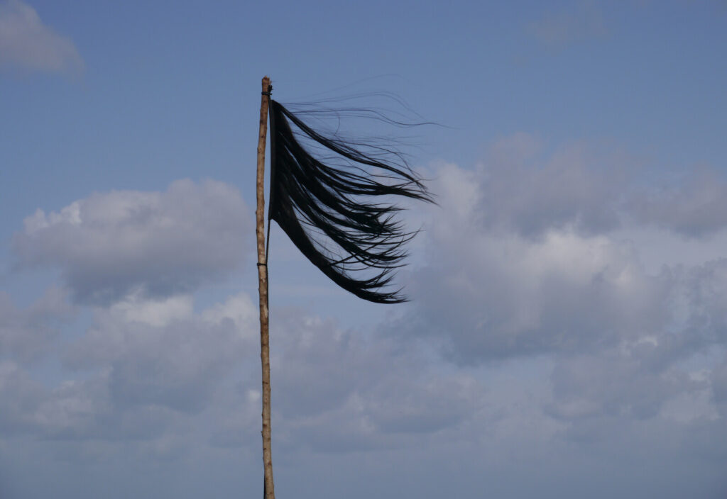 Edith Dekyndt - Ombre indigène, 2014