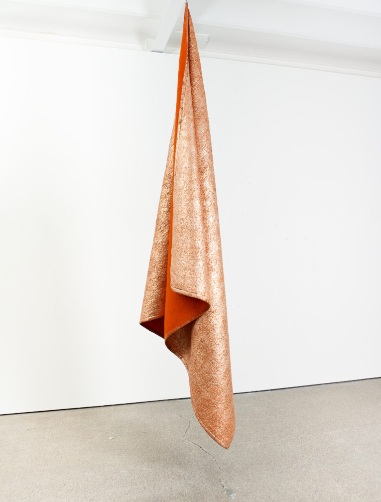 Edith Dekyndt - Untitled, 2014